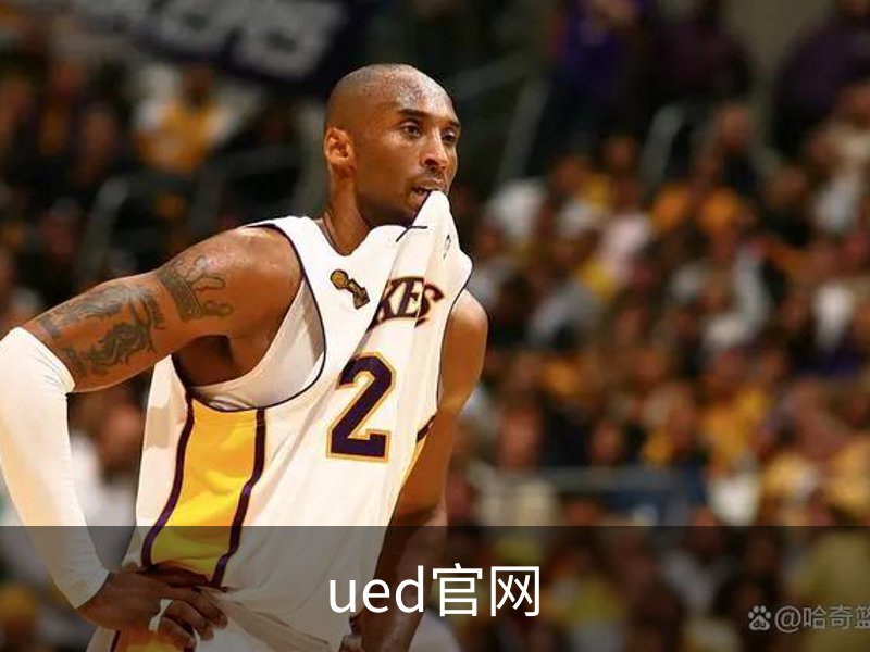 了解ued官网